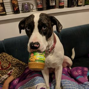 Meet your Posher, Damien